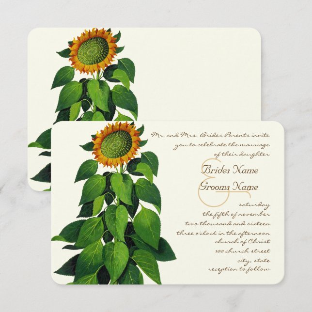 Rustic Romantic Sunflower Wedding Invitation (Front/Back)