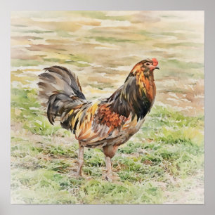 Rustic Rooster Watercolor Art Squared Poster