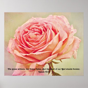 Rustic Rose Scripture Photographic Art Print
