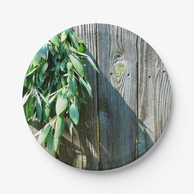 Rustic  Sage Paper Plate (Front)