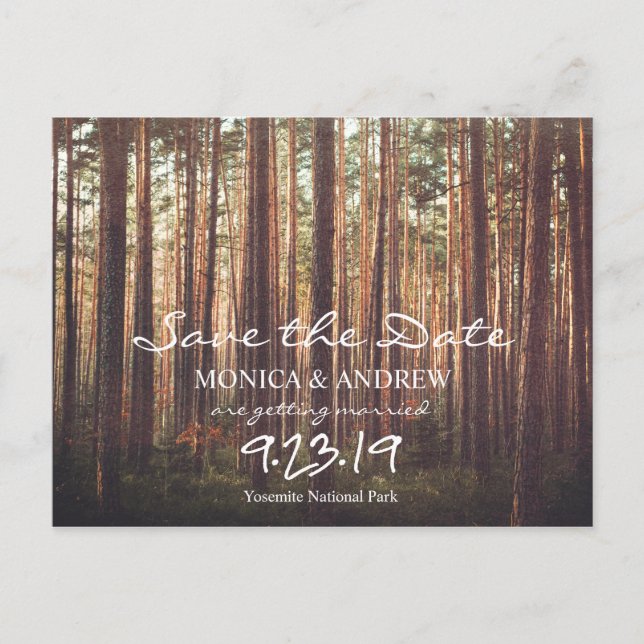 Rustic Save the Date Forest Tree Postcard (Front)