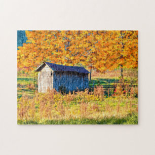 Rustic Shed - Fall Foliage Puzzle
