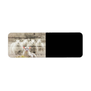 Rustic Sheep Baby Lamb Burlap