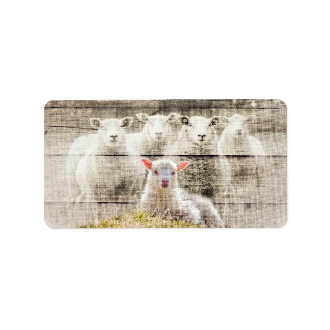 Rustic Sheep Baby Lamb Burlap Label (Front)