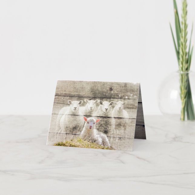 Rustic Sheep Baby Lamb Burlap Note Card (Front)
