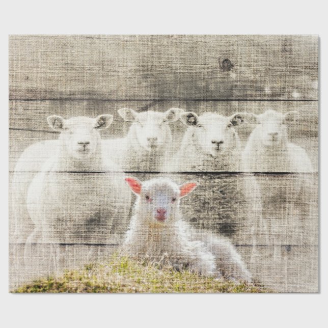 Rustic Sheep Baby Lamb Burlap Wrapping Paper (Flat)