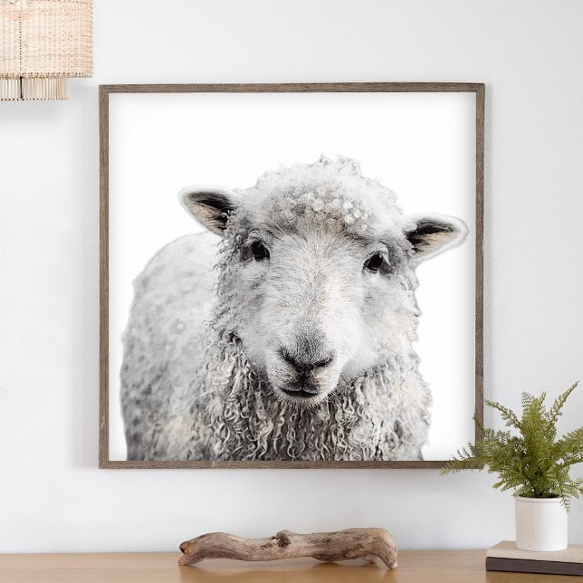 Rustic Sheep Minimalist Modern Country Farmhouse Poster (Creator Uploaded)