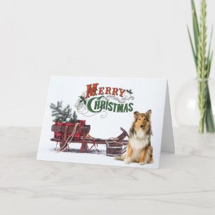 Rustic Sheltie Christmas Card