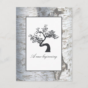 Rustic Silver Birch Tree Baby Announcement Postcard