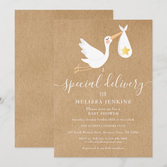 Rustic Special Delivery Stork Baby Shower Sprinkle Invitation (Front/Back)