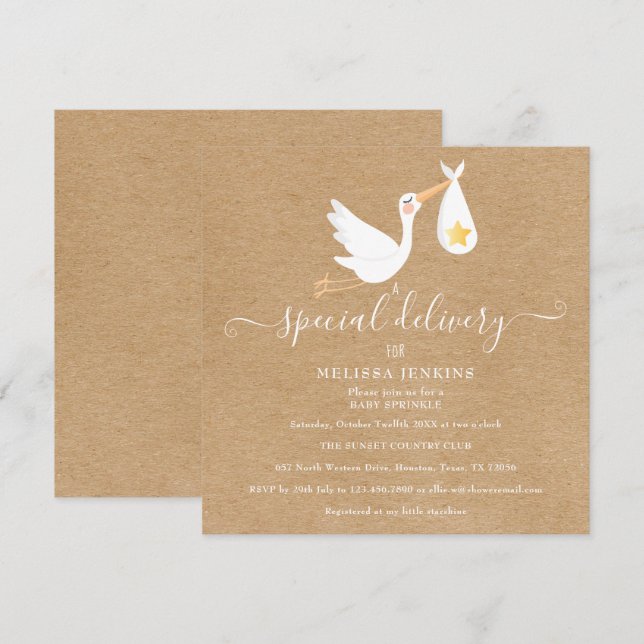 Rustic Special Delivery Stork Baby Sprinkle Shower Invitation (Front/Back)
