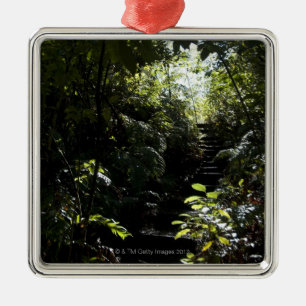 Rustic staircase/footpath in forest, sunlight metal tree decoration