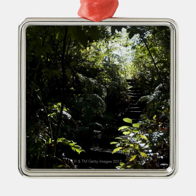 Rustic staircase/footpath in forest, sunlight metal tree decoration (Front)