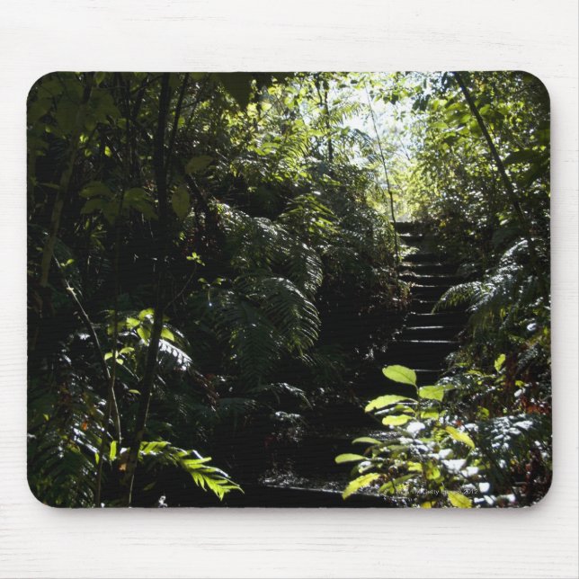Rustic staircase/footpath in forest, sunlight mouse mat (Front)