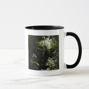 Rustic staircase/footpath in forest, sunlight mug