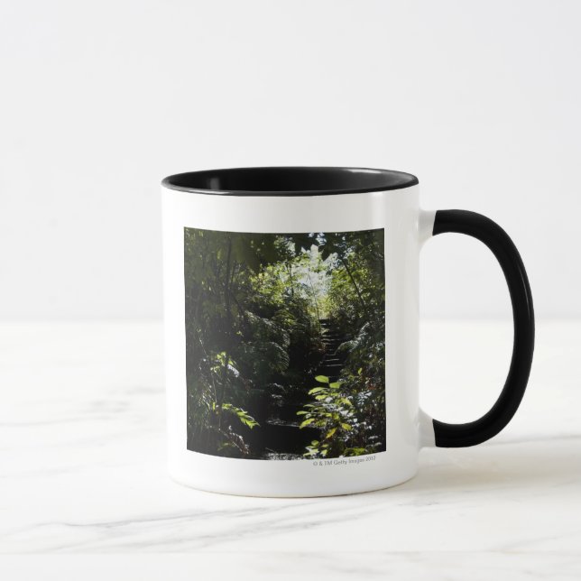 Rustic staircase/footpath in forest, sunlight mug (Right)