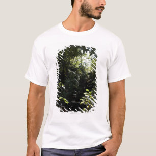 Rustic staircase/footpath in forest, sunlight T-Shirt