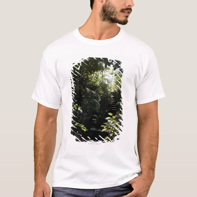 Rustic staircase/footpath in forest, sunlight T-Shirt (Front)