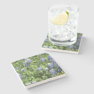 Rustic Stone Coasters with Bluebonnets