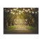 Rustic String Lights Tree Path Save the Date