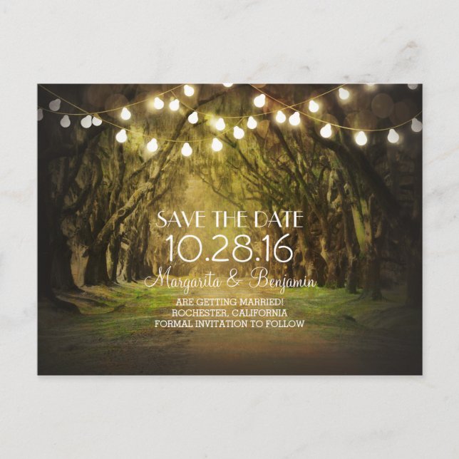 Rustic String Lights Tree Path Save the Date Announcement Postcard (Front)