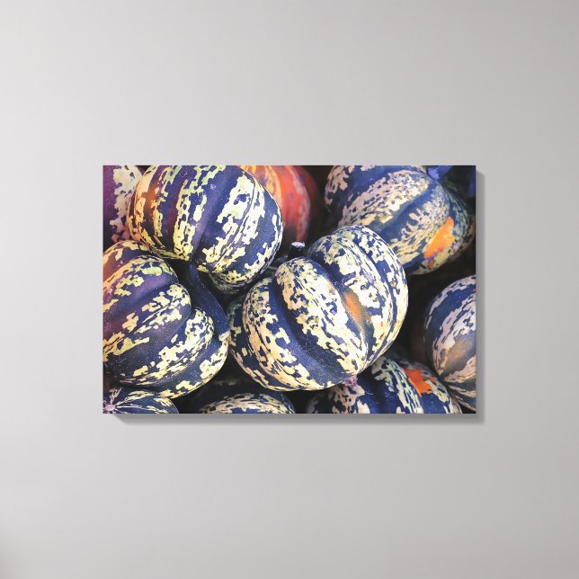 Rustic Striped Pumpkins  Canvas Print (Front)