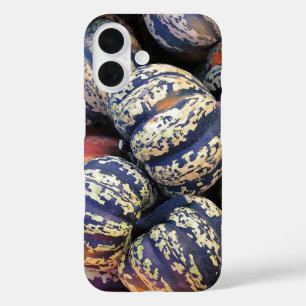 Rustic Striped Pumpkins iPhone 16 Case