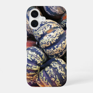 Rustic Striped Pumpkins iPhone 16 Case
