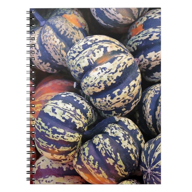 Rustic Striped Pumpkins  Notebook (Front)