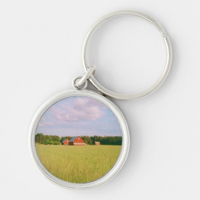 Rustic summer field, Helsingia, Sweden Key Ring (Front)