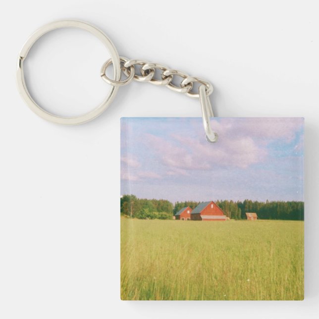 Rustic summer field, Helsingia, Sweden Key Ring (Front)