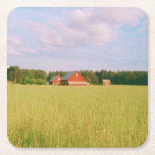 Rustic summer field, Helsingia, Sweden Square Paper Coaster