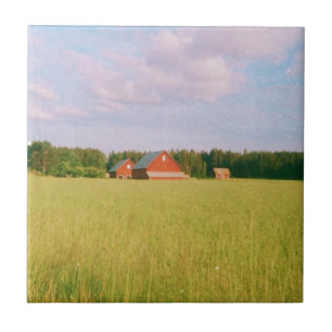 Rustic summer field, Helsingia, Sweden Tile