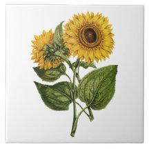 Rustic Sunflower Decorative