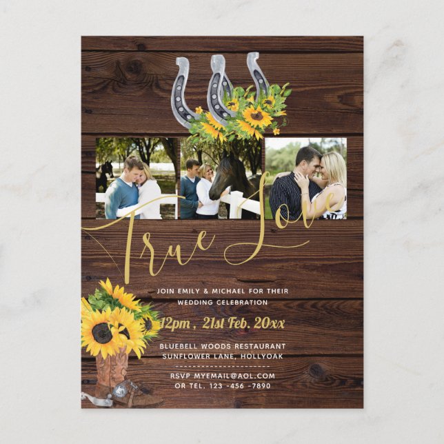 Rustic Sunflower Western Barn Horseshoes Photo Postcard (Front)