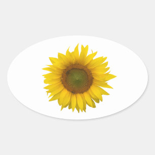 Rustic Sunflower Yellow Floral  Oval Sticker