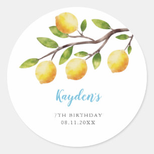 Rustic Sweet Lemon Boy Birthday Party  Classic Round Sticker
