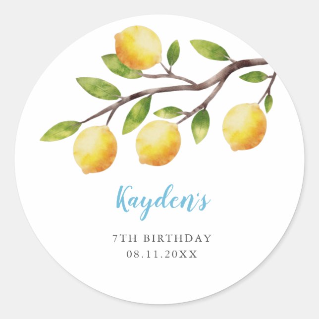 Rustic Sweet Lemon Boy Birthday Party  Classic Round Sticker (Front)