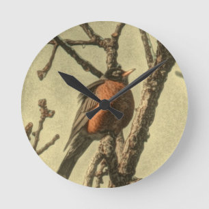 Rustic Tree branches Michigan State Bird Robin Round Clock