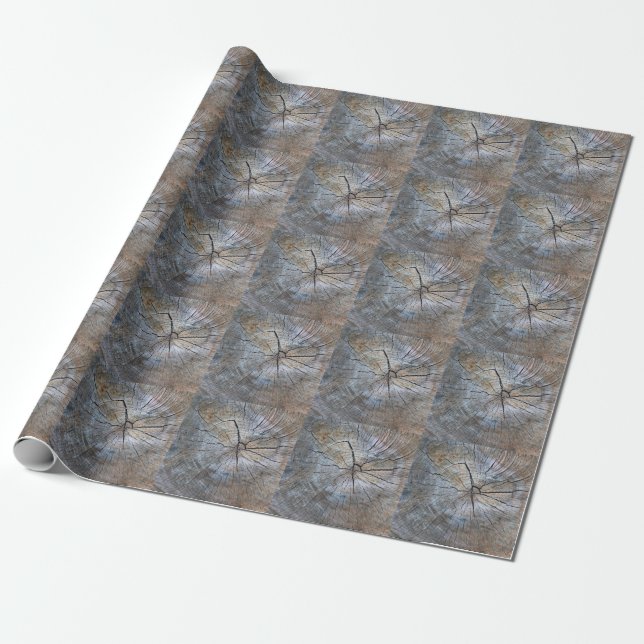 Rustic Tree ring pattern  Wrapping Paper (Unrolled)
