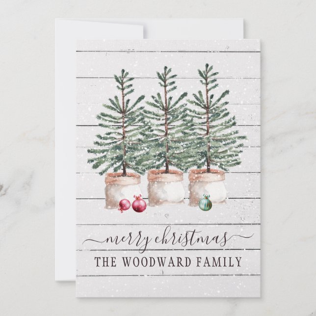 Rustic Trees Christmas Cards (Front)