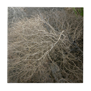 Rustic Tumbleweed Tile