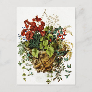 Rustic twig basket with flowers and plants postcard