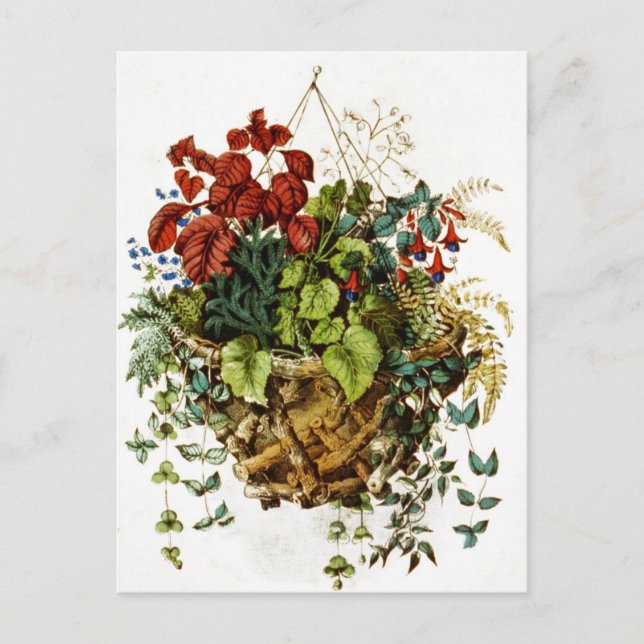 Rustic twig basket with flowers and plants postcard (Front)