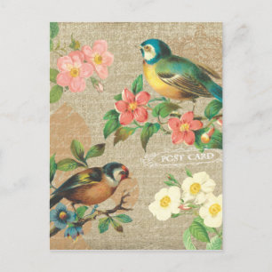 Rustic Vintage Birds and Flowers Shabby Elegance Postcard