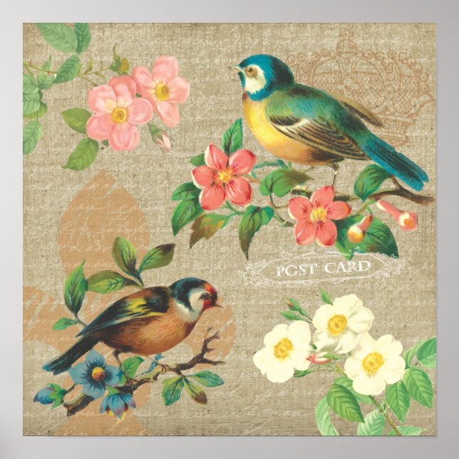 Rustic Vintage Birds and Flowers Shabby Elegance Poster (Front)