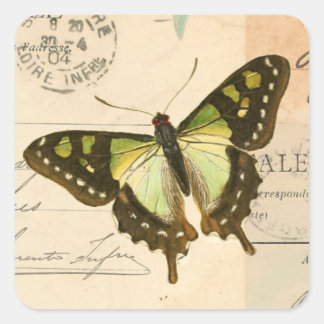 Rustic vintage butterfly in green sticker