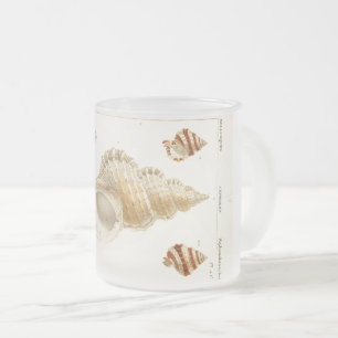 Rustic Vintage Mollusks Seashell Coffee Mug