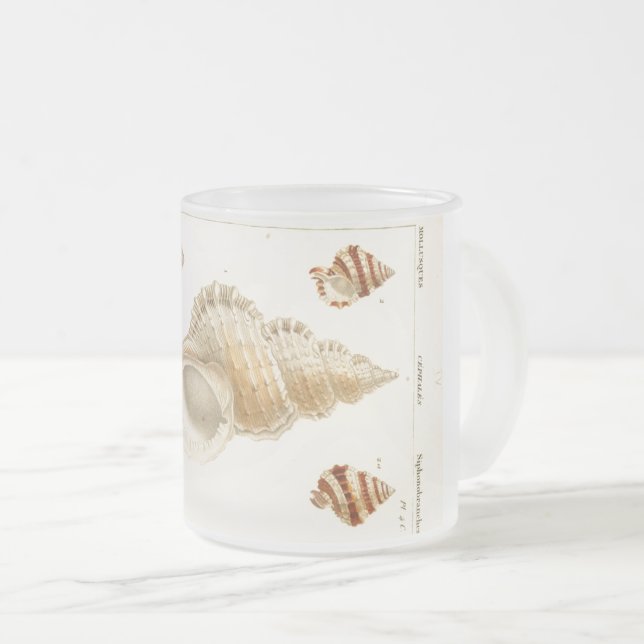 Rustic Vintage Mollusks Seashell Coffee Mug (Front Right)