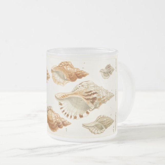 Rustic Vintage Mollusks Seashell Coffee Mug (Front Right)